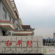 和平村(雲南省大理州巍山縣南詔鎮和平村) 和平村(雲南省大理州巍山縣南詔鎮和平村)