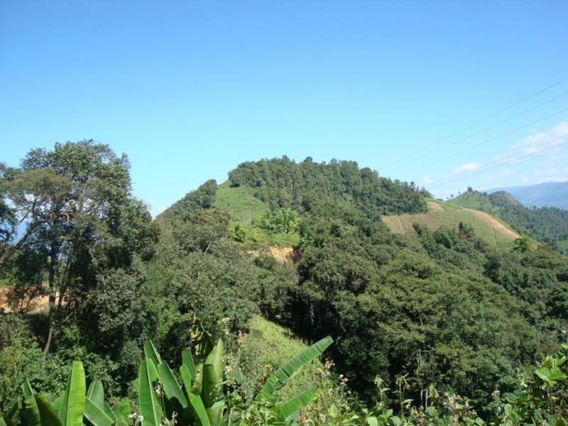 曼新村(雲南隴川縣王子樹鄉下轄村) 曼新村(雲南隴川縣王子樹鄉下轄村)