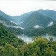 黃連山國家級自然保護區(黃連山自然保護區)