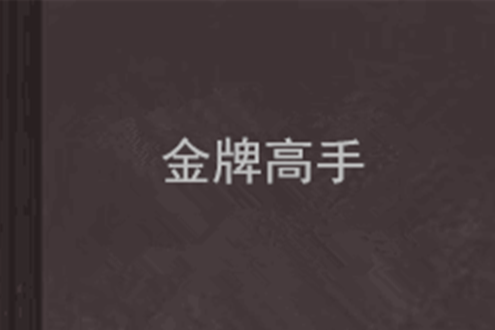 金牌高手(風雪小刀創作的網路小說) 金牌高手(風雪小刀創作的網路小說)
