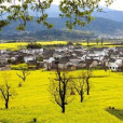 盧村村(四川省眉山市洪雅縣瓦屋山鎮下轄村) 盧村村(四川省眉山市洪雅縣瓦屋山鎮下轄村)