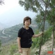 鄭彩霞(北京林業大學教授) 鄭彩霞(北京林業大學教授)