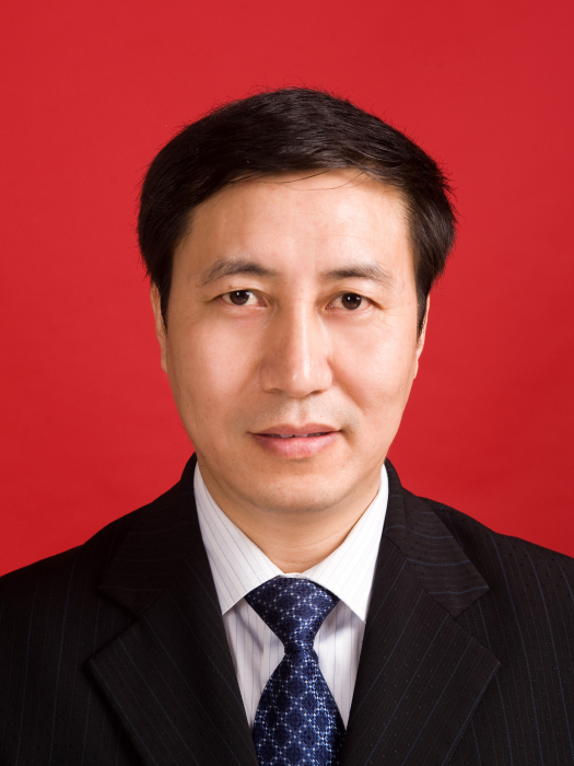 王效光(河南省滎陽市委副書記、市長) 王效光(河南省滎陽市委副書記、市長)