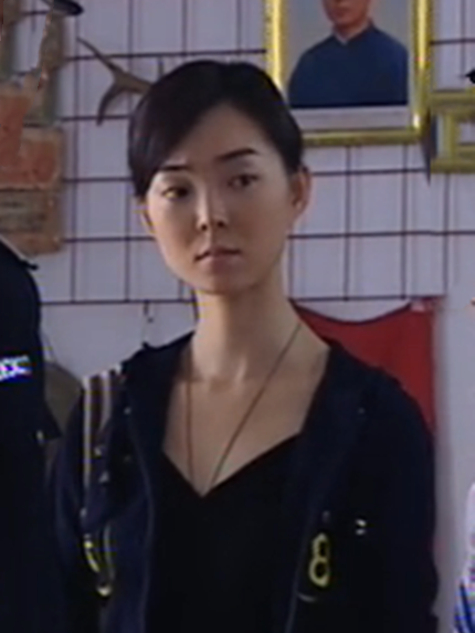 宋婷(劇情劇《雪琉璃》中的角色)