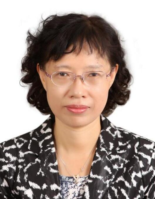 周玲(大連理工大學教授) 周玲(大連理工大學教授)