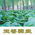 玉簪園主 玉簪園主