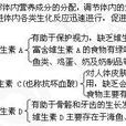 維生素C+E 維生素C+E