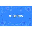 marrow marrow
