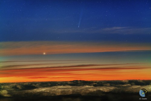 ISON彗星正向近日點移動