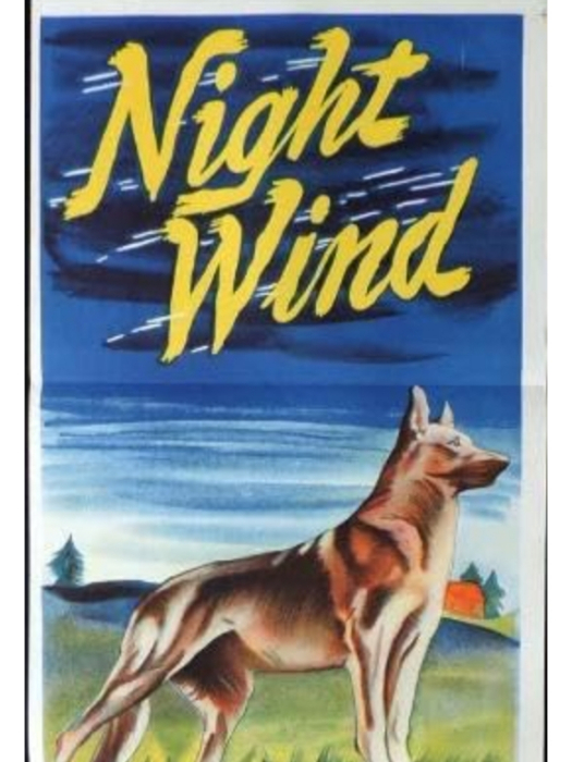Night Wind(美國1948年James Tinling執導的電影) Night Wind(美國1948年James Tinling執導的電影)