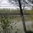 邢鋪村 邢鋪村