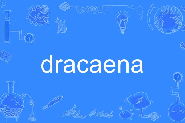 dracaena dracaena