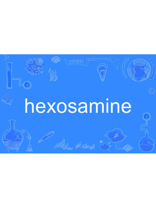 hexosamine hexosamine