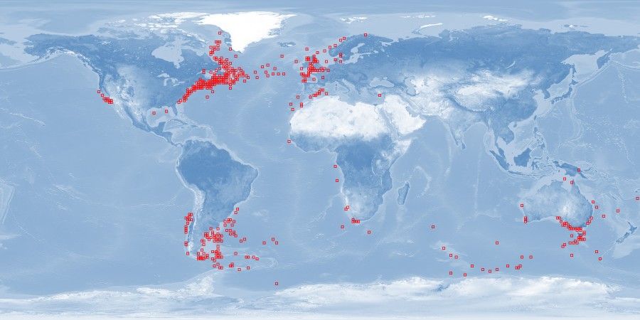長肢領航鯨海洋區域分布採樣圖