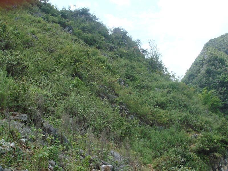 乾溝自然村(雲南省臨滄市鎮康縣木場鄉乾溝自然村) 乾溝自然村(雲南省臨滄市鎮康縣木場鄉乾溝自然村)