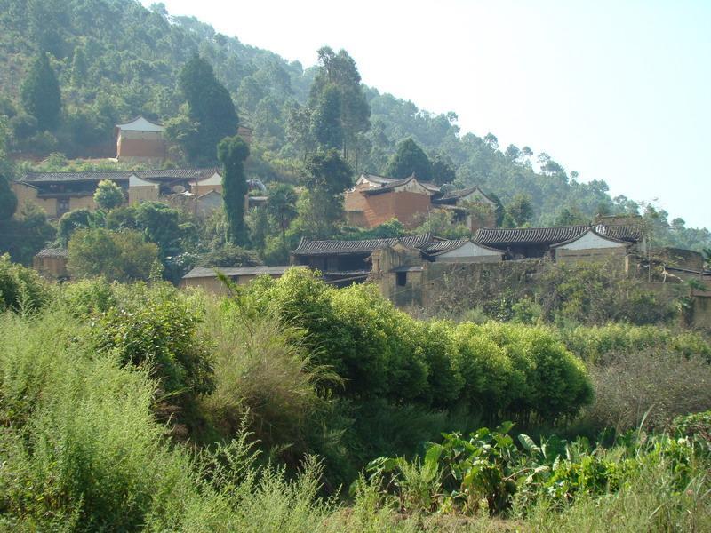 楊梅沖村 楊梅沖村