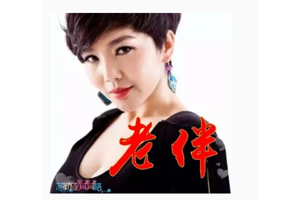 老伴(蘇勒亞其其格演唱歌曲) 老伴(蘇勒亞其其格演唱歌曲)