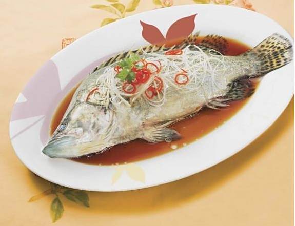花藍桂魚 花藍桂魚