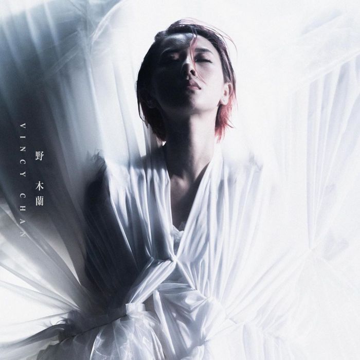 野木蘭(泳兒2019年單曲) 野木蘭(泳兒2019年單曲)