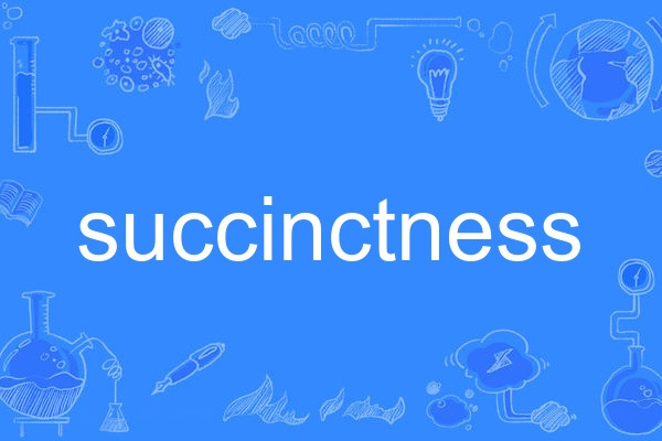 succinctness succinctness