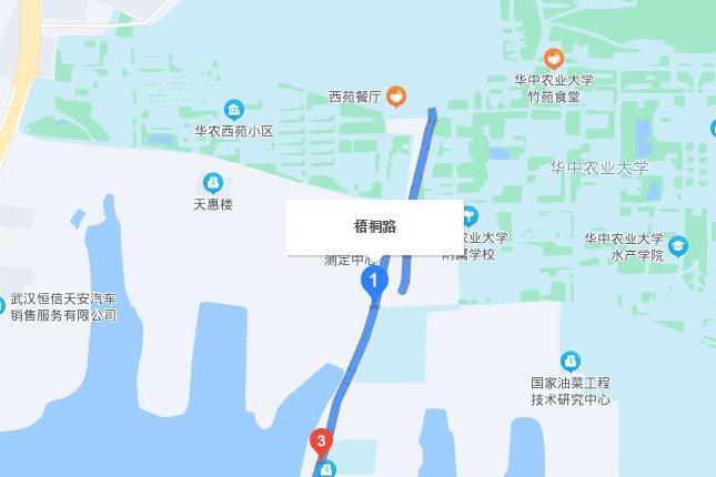 梧桐路(武漢市梧桐路) 梧桐路(武漢市梧桐路)