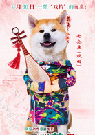 營救汪星人