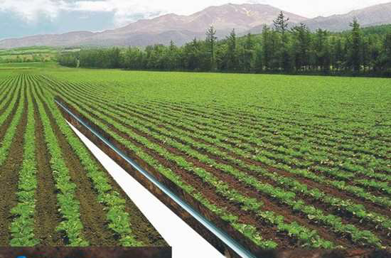 節水灌溉技術(農業灌溉技術)