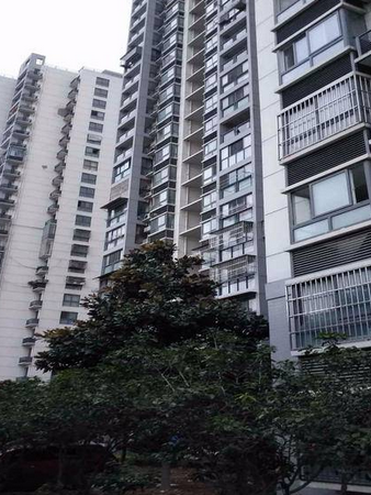 新樂苑(中山市新樂苑小區) 新樂苑(中山市新樂苑小區)