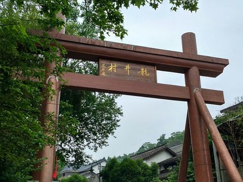龍井村(廣西壯族自治區貴港市港北區港城街道下轄村) 龍井村(廣西壯族自治區貴港市港北區港城街道下轄村)