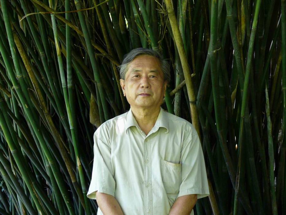 王遠征(南充市政協書畫院畫家) 王遠征(南充市政協書畫院畫家)