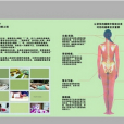 睡眠系統 睡眠系統