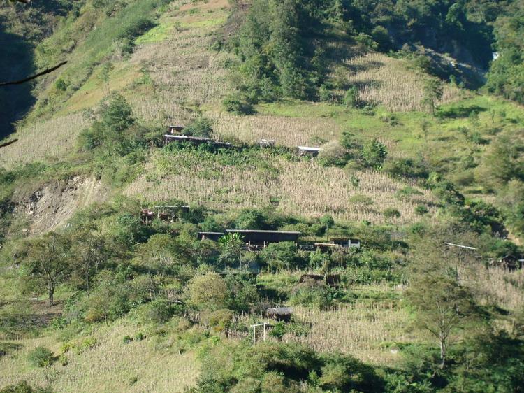 齊得村 齊得村