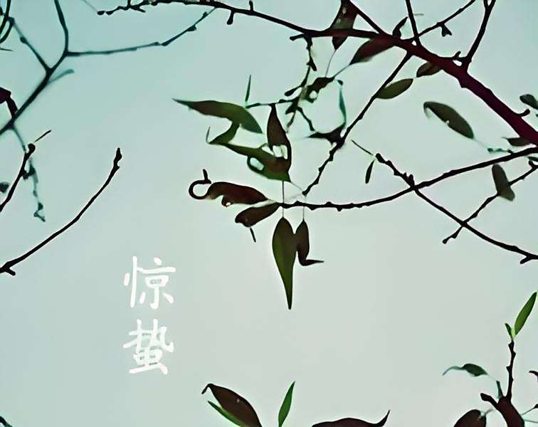 古道途迷 古道途迷