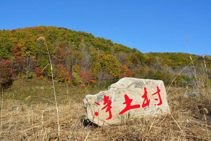 淨土村(遼寧省清原縣下轄村) 淨土村(遼寧省清原縣下轄村)
