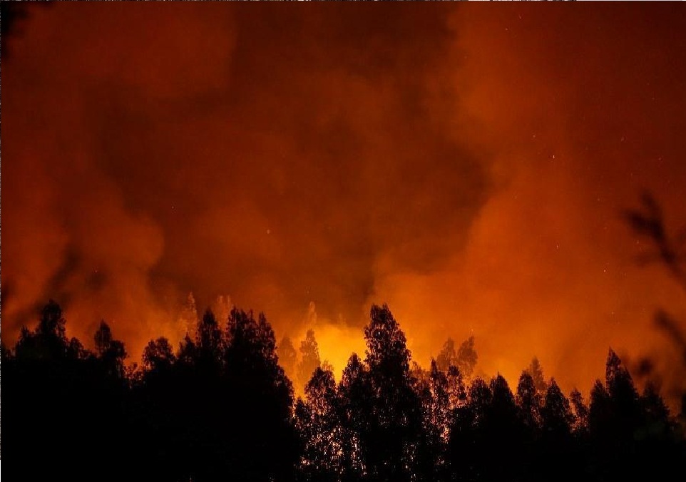 10·15葡萄牙森林火災