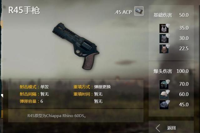 R45(《絕地求生》中的手槍) R45(《絕地求生》中的手槍)