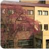 三育保健大學 三育保健大學