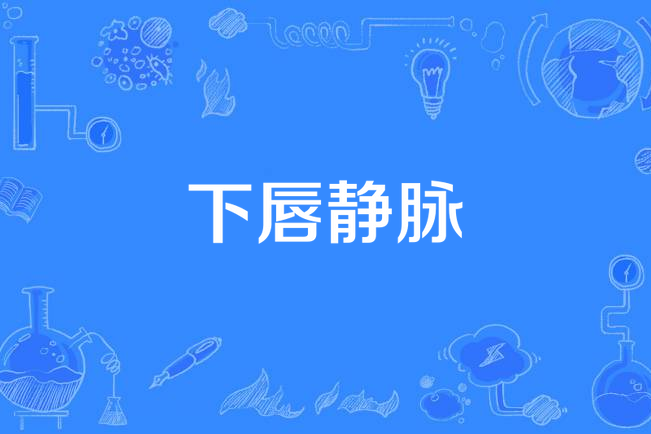 下唇靜脈 下唇靜脈