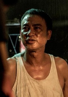迷離夜(中國香港2013年李志毅、任達華等執導的電影)