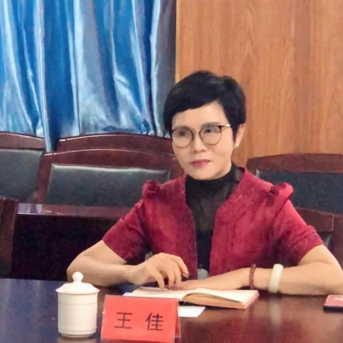 王佳(民盟海南省委常委,海南省投資商會會長) 王佳(民盟海南省委常委,海南省投資商會會長)
