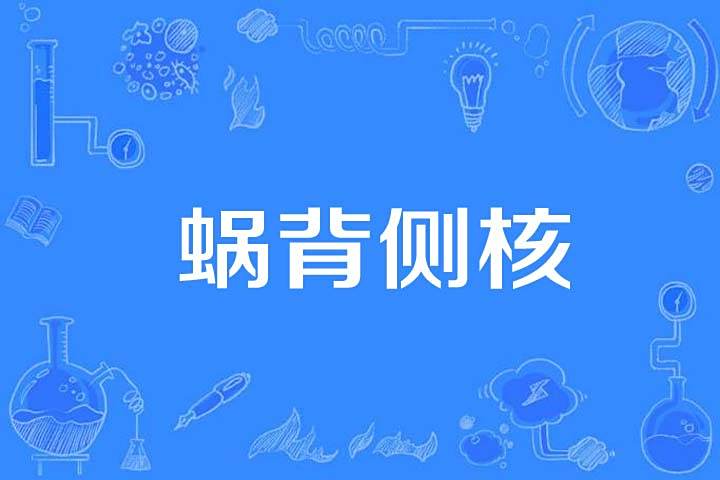 蝸背側核