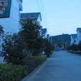 上圩村(浙江衢州市常山縣天馬鎮下轄村) 上圩村(浙江衢州市常山縣天馬鎮下轄村)