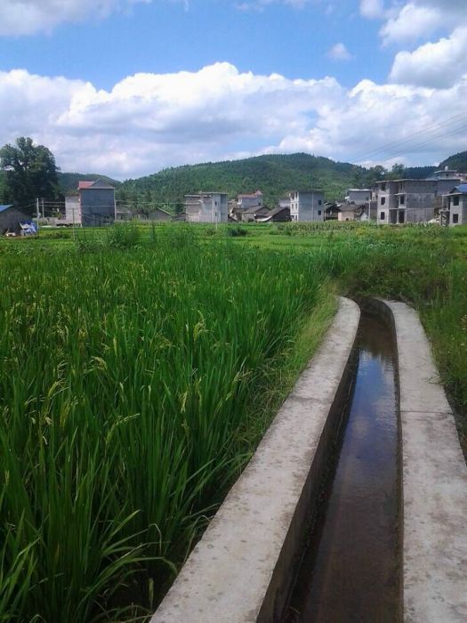納吾車村 納吾車村