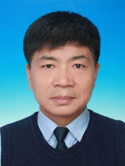 李士龍(北京市通州區新城中心區建設管理委員會黨組成員、副主任) 李士龍(北京市通州區新城中心區建設管理委員會黨組成員、副主任)