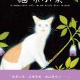貓咪小茶