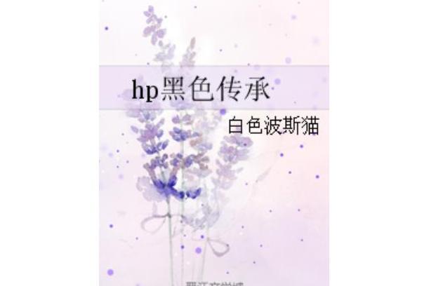hp黑色傳承 hp黑色傳承