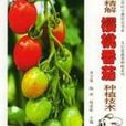 圖文精解櫻桃番茄種植技術