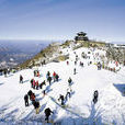 龍平滑雪場 龍平滑雪場