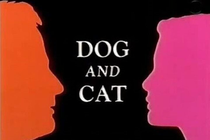 Dog and Cat Dog and Cat