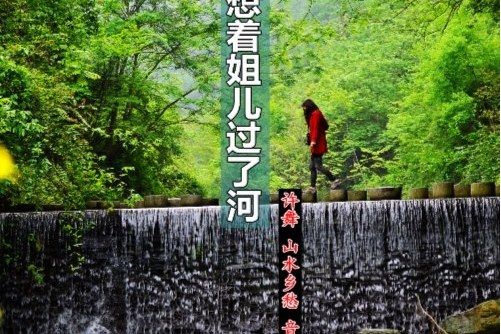 十杯子酒 十杯子酒
